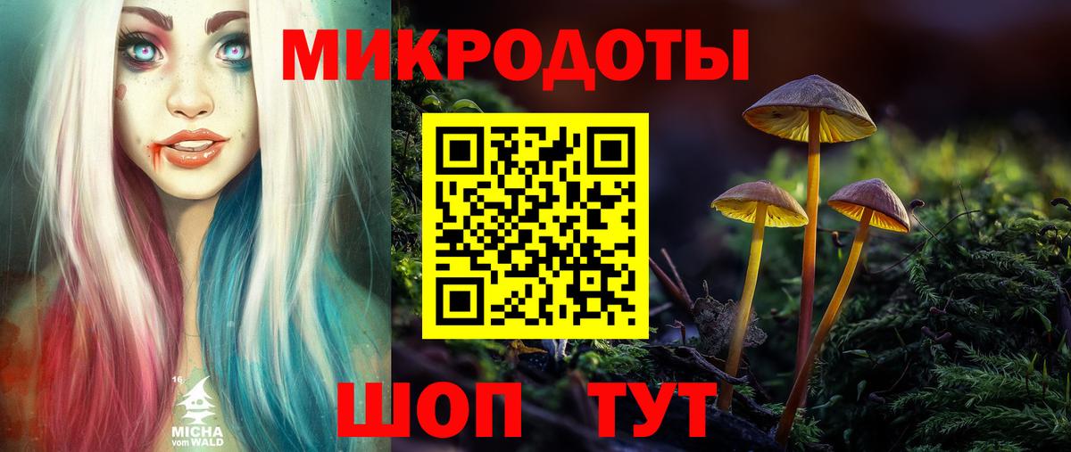 Псилоцибиновые грибы прущие грибы Шебекино