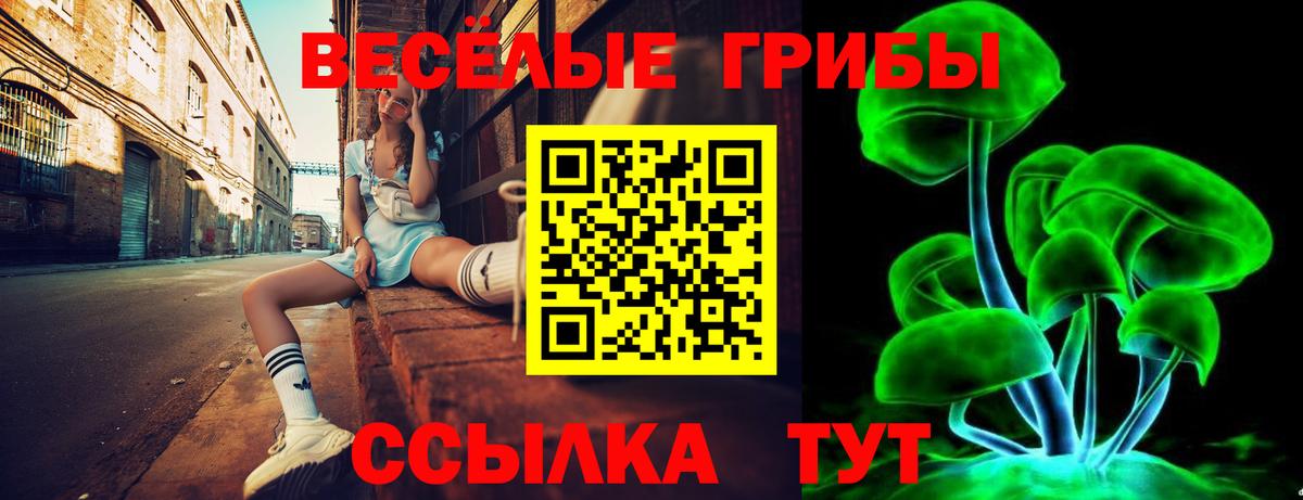 где купить наркотик  Вход с VPN  Шебекино  Галлюциногенные грибы прущие грибы 